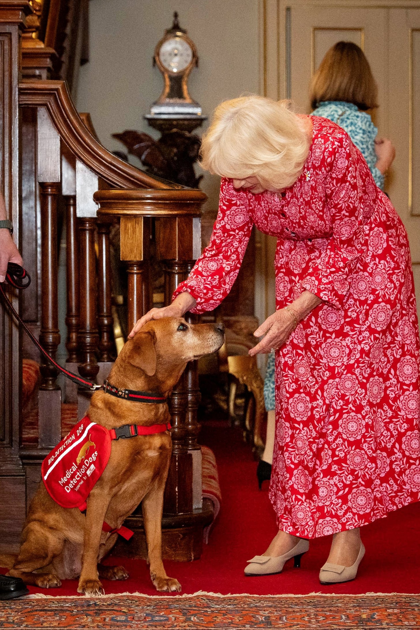 Queen Camilla petting Floren Queen Camilla petting Floren