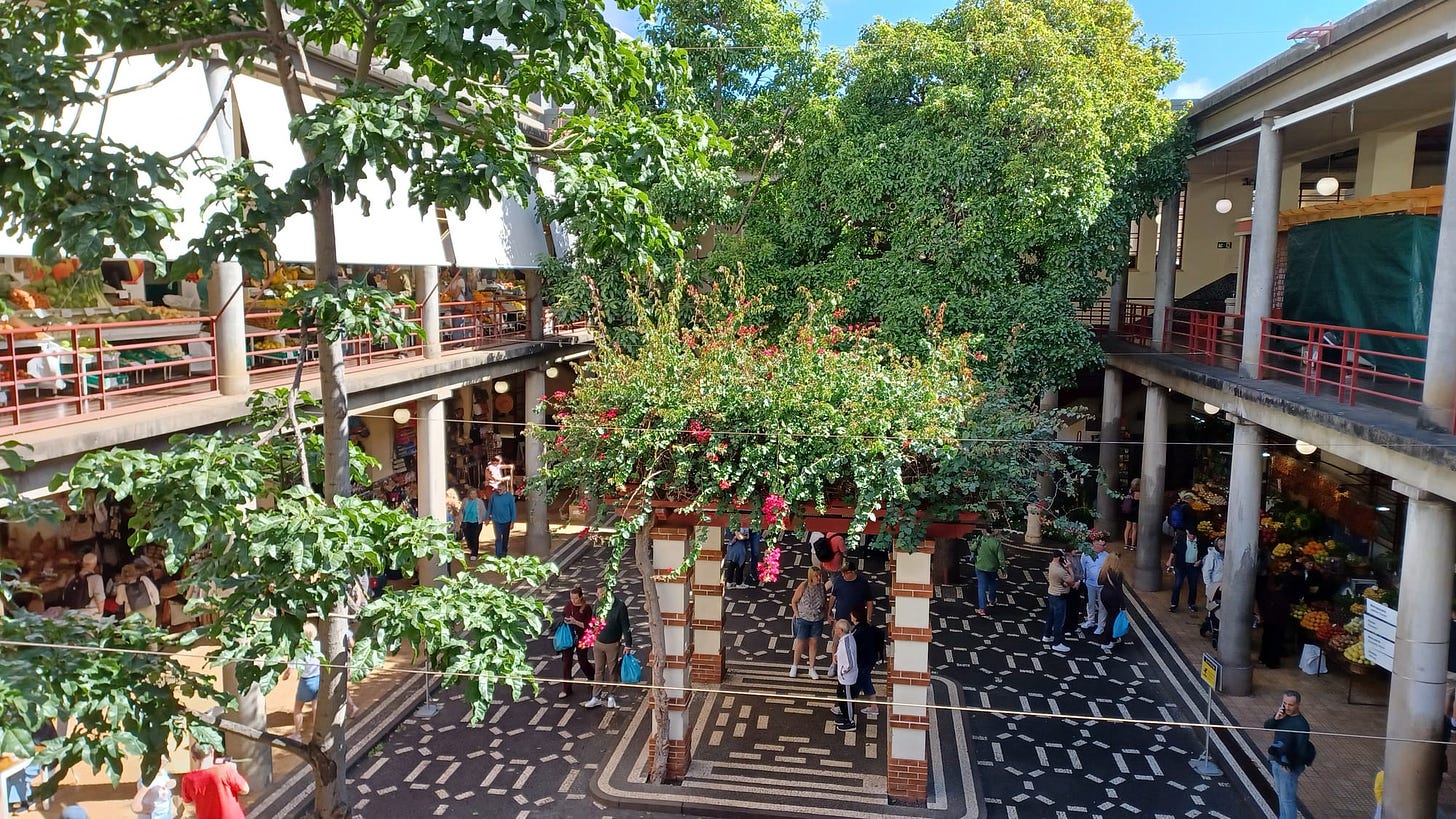 Madeira - A 6 Day Guide