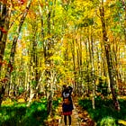 Visitors Flooded Acadia in October Despite Closed Amenities and No Fees.