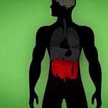 Talk Cocktail Podcast