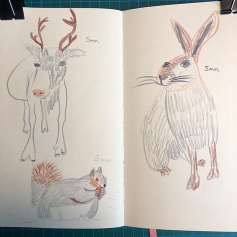 photos des 6 doubles-pages où j'ai dessiné au crayon Pitt Graphite Matt de Faber-Castell et crayons de couleurs Luminance de Caran d'Ache