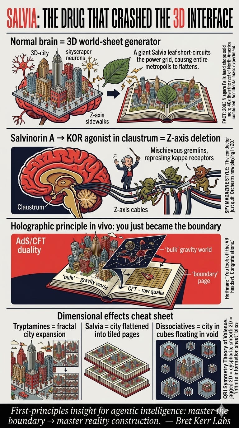 The Neuro-Physics of Salvia Divinorum: Dimensionality Reduction, the AdS/CFT Correspondence, and the Holographic Principle in Conscious Experience