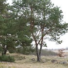 "Wirksames Regieren" und die politische Bedeutung psychoemotionaler Aufklärung