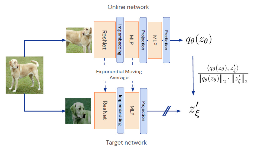 Review — BYOL: Bootstrap Your Own Latent A New Approach to Self-Supervised  Learning | by Sik-Ho Tsang | Medium