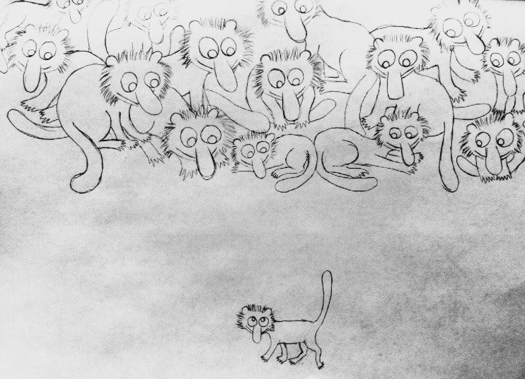 11666319_10152947957120770_7562440912178554516_n