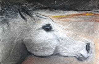 Horse 1 Horse 1
