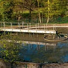 Overlords to Peasants: After Your Meal of 'Ze Bugs' Have a Drink of Sewage Water