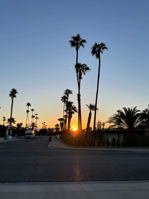 desert in palm springs, california