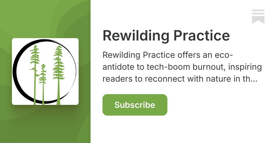 Rewilding Practice | Amanda Warton Jenkins | Substack