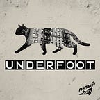 Flatbush Cats