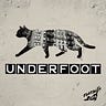 Flatbush Cats