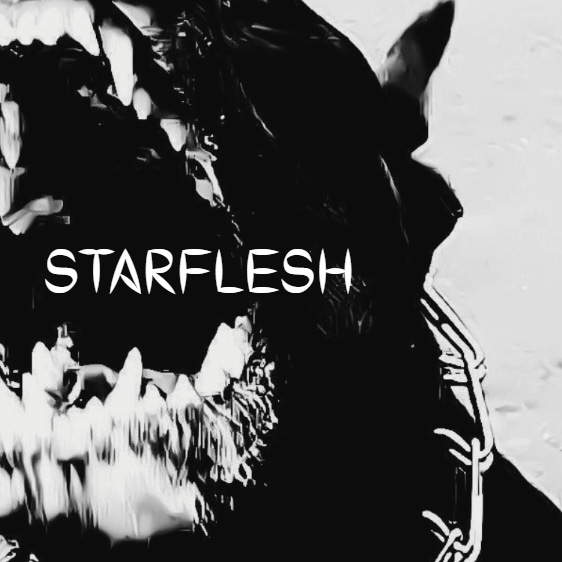 ‿̩͙⊱༒︎༻ starflesh ༺༒︎⊰‿̩͙