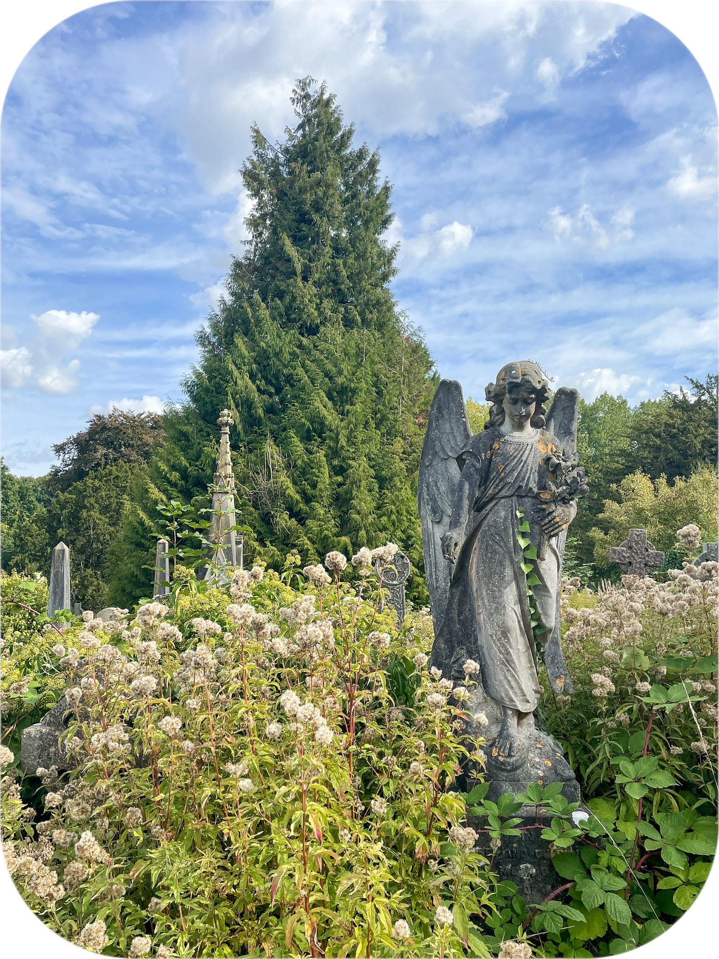 Bath Abbey Cemetery, Bath, England