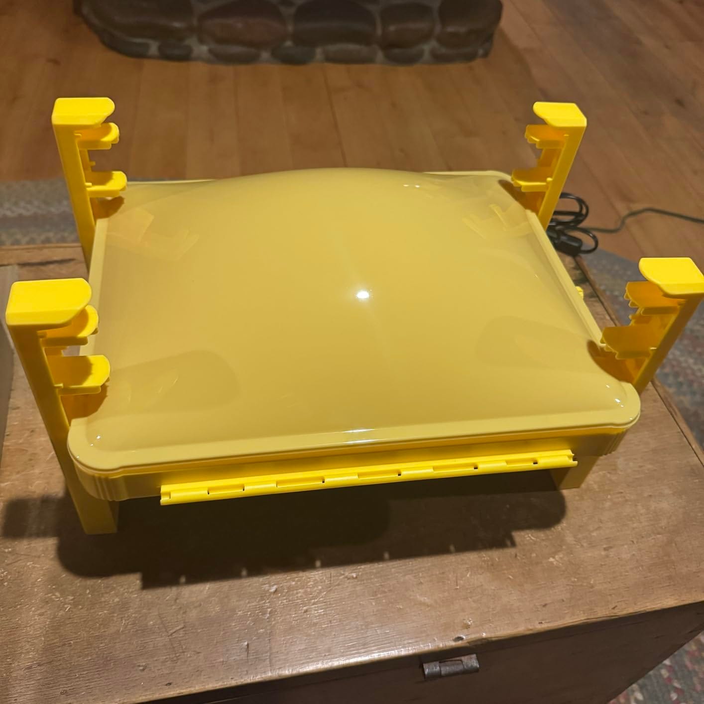 Safe, Efficient, and Versatile Chicken Heater Plate