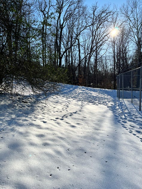 Photos depicting winter skies, snowfall and pets surviving the cold weather.