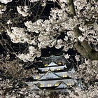 How I spent less than S$2,600 for a 30-day Japan trip