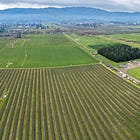 Field Notes: 'Giants Rising' and a Community Forest Rising Along the Napa River
