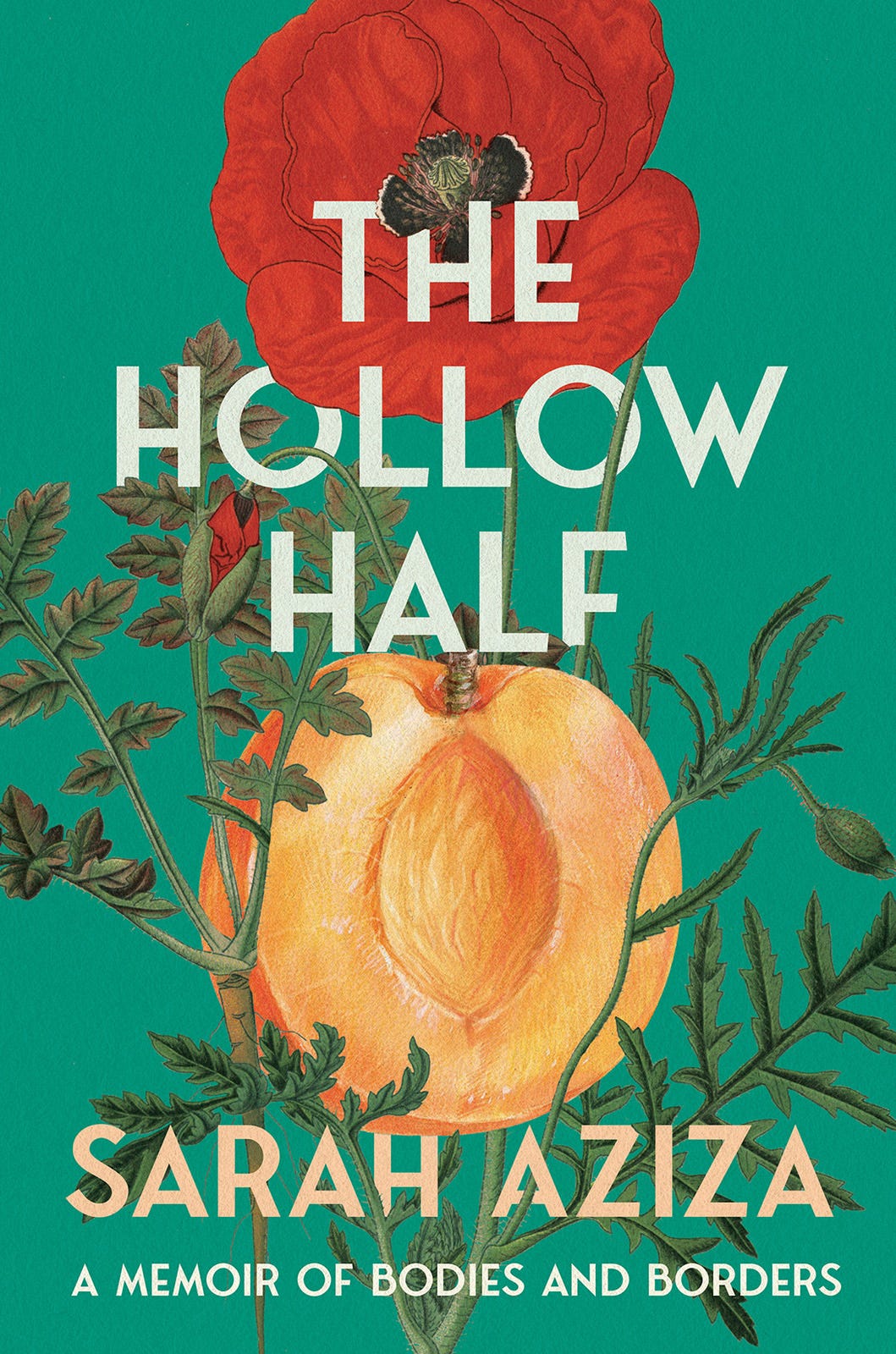 Sarah Aziza (سارة عزيزة), The Hollow Half. A Memoir of Bodies and Borders, Catapult, Brooklyn, NY, 2025 [Pilsen Community Books, Chicago, IL]