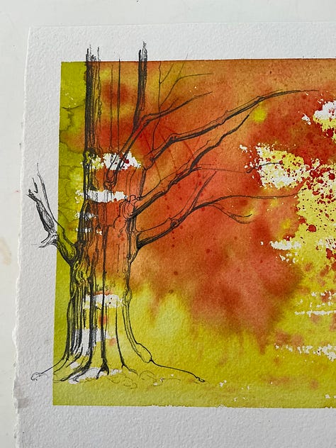 All around the state to find maple trees.