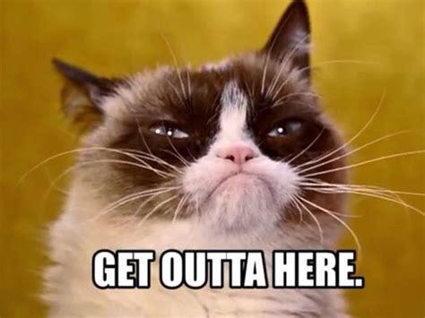 Get outta here. Grump Cat, Grumpy Cat Meme, Grumpy Cat Quotes, Cat ...