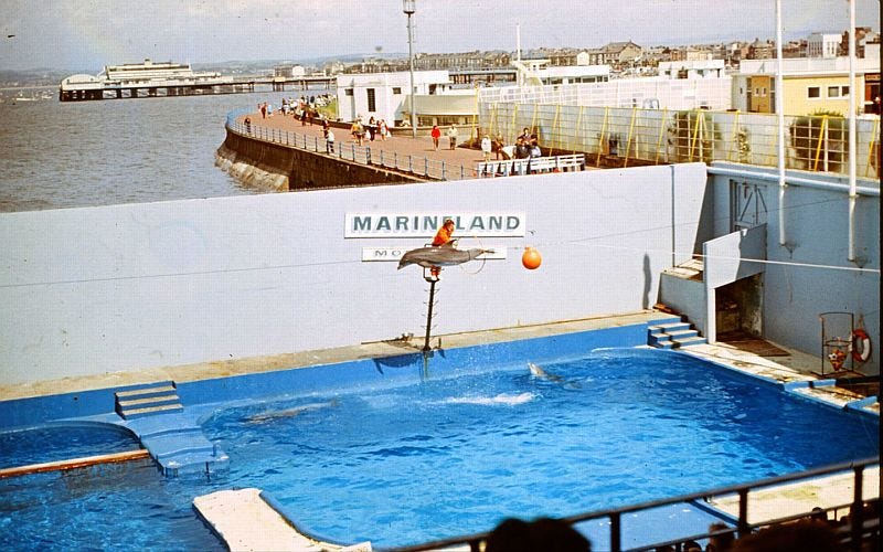 UK Dolphinaria Archive: Marineland - Morecambe: 1964 - 1990 UK Dolphinaria Archive: Marineland - Morecambe: 1964 - 1990