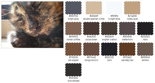 Photo palette artemis Photo palette artemis