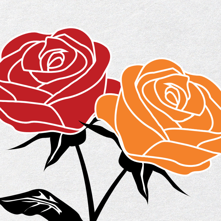 Why Not Parliamentarism?