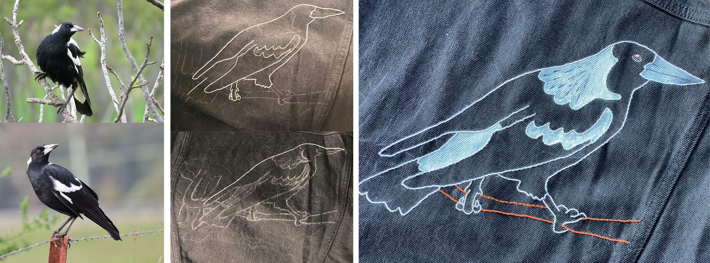 A set of five photos. The first two are photographs of Australian magpies in the wild. The second two show a sketch and embroidered outline of an Aussie magpie on a black denim surface (including a lot of cat hair!). The final and largest image shows a completed mixed-media embroidery and acrylic Australian magpie perched on a branch. A set of five photos. The first two are photographs of Australian magpies in the wild. The second two show a sketch and embroidered outline of an Aussie magpie on a black denim surface (including a lot of cat hair!). The final and largest image shows a completed mixed-media embroidery and acrylic Australian magpie perched on a branch.