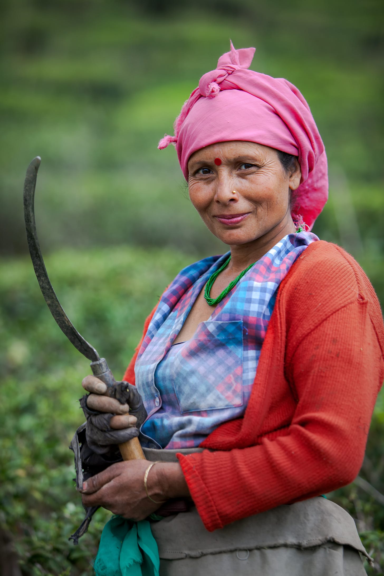 Sungma Tea Estate, Darjeeling, India. 1/250, ƒ/2.8, ISO 100, 145mm. © Gavin Gough