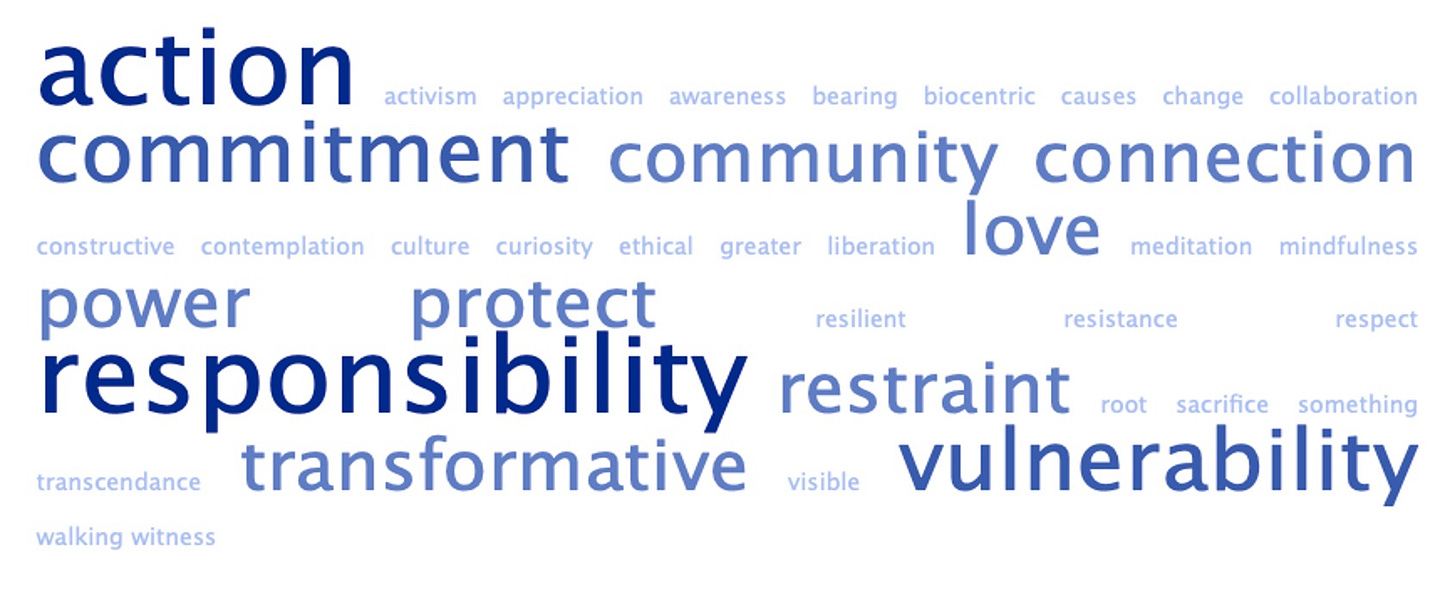 word cloud of blue text on white background, includes terms like ACTION, RESPONSIBILITY, COMMITMENT, COMMUNITY, AND PROTECT.