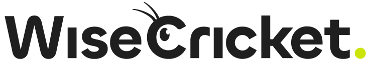 WiseCricket | Software de Auditoría Fiscal y Contable con IA para Empresas