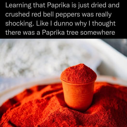 paprika is bell pepper meme : Second Language Strategies