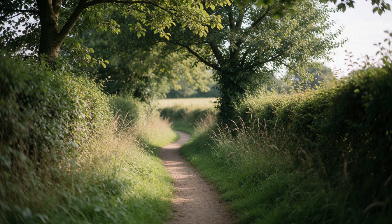 A narrow walking path winding through overgrown hedgerows and tall grass, curving out of sight around a bend with dappled late-afternoon sunlight filtering through the trees.