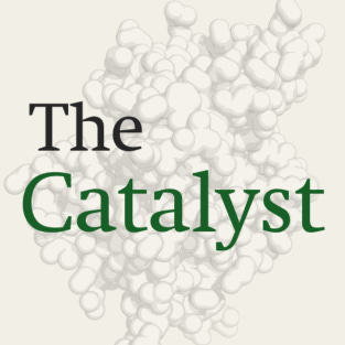 THE CATALYST by Nomosis