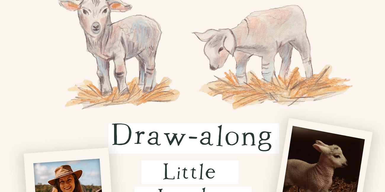 Replay Little Lambs Draw-a-long 