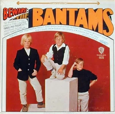 Cover art for Beware: The Bantams by The Bantams