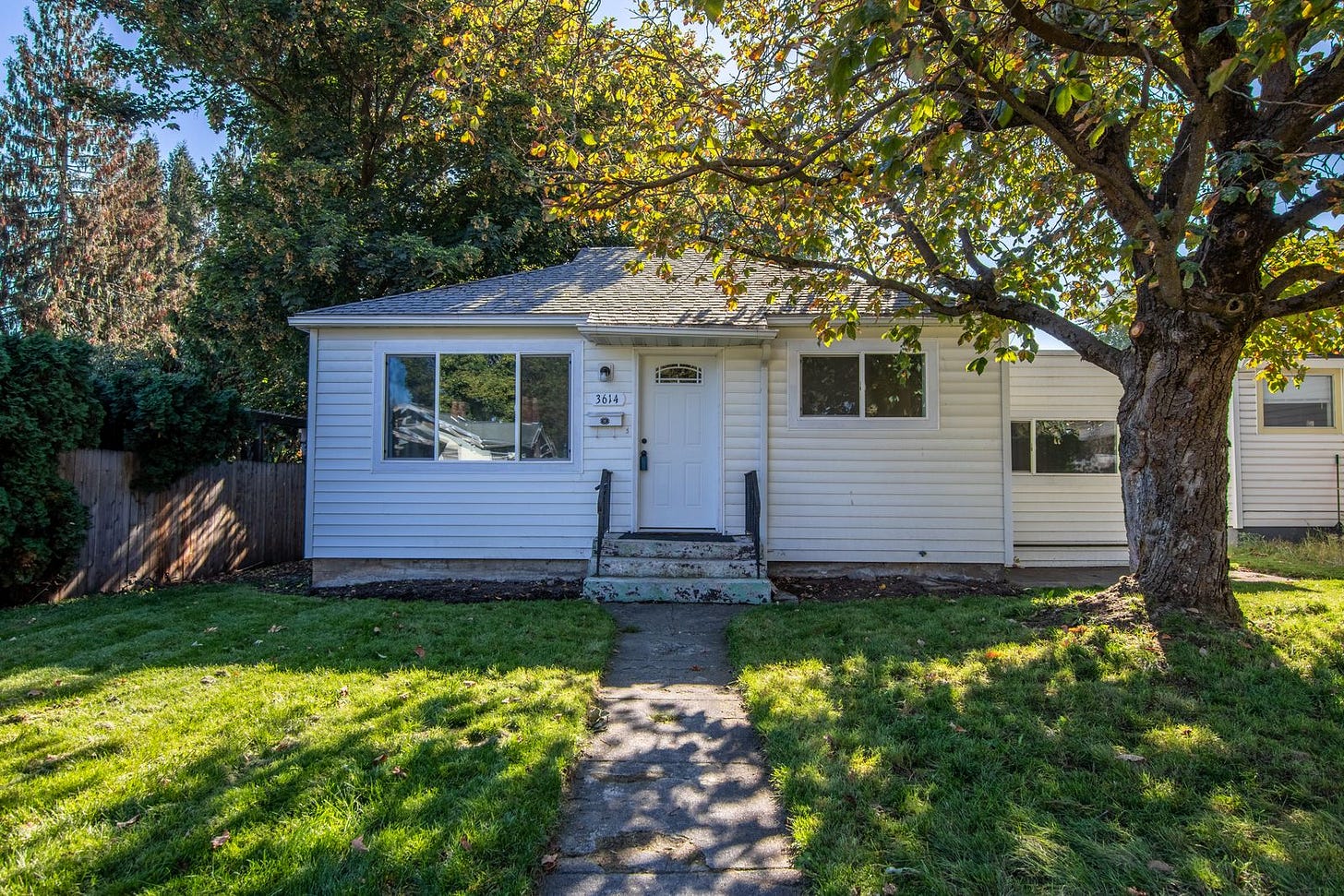 A plain single-storey white house with a large shade tree, a narrow concrete path and a mowed front lawn A plain single-storey white house with a large shade tree, a narrow concrete path and a mowed front lawn