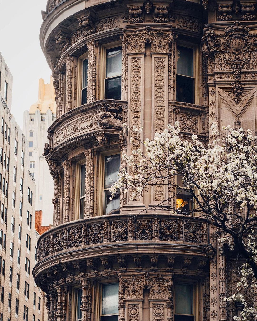 No photo description available.