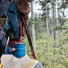 Community Resistance in Action: Update from Washington State Treesit