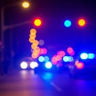 Police Shoot Dog After Officer Bitten During Impaired Driving Arrest in Owen Sound