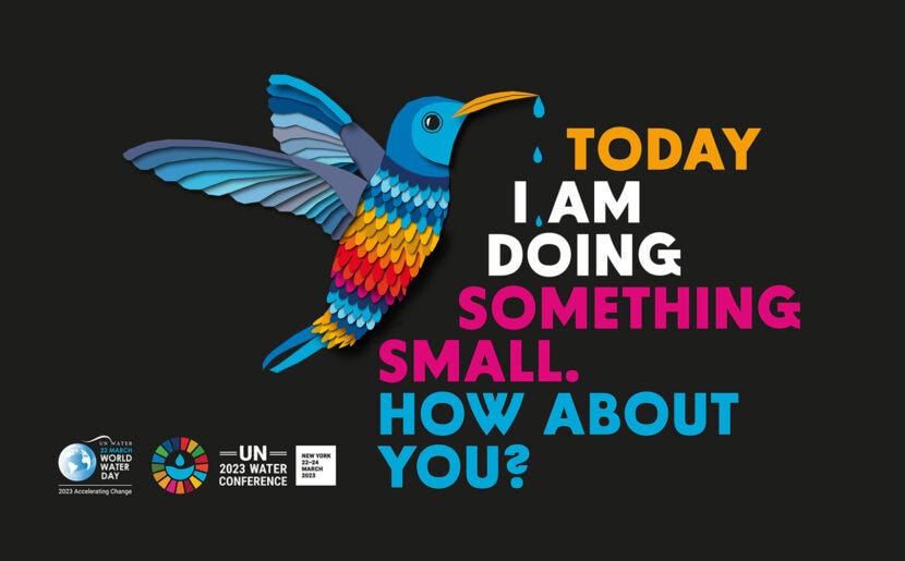 April Challenge: BE LIKE THE HUMMINGBIRD! - Sisters of Charity of the Blessed Virgin Mary April Challenge: BE LIKE THE HUMMINGBIRD! - Sisters of Charity of the Blessed Virgin Mary