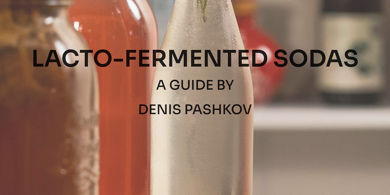 Lacto-Fermented Sodas