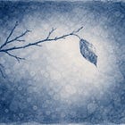 Dejé de bañarme todos los días y no me arrepiento