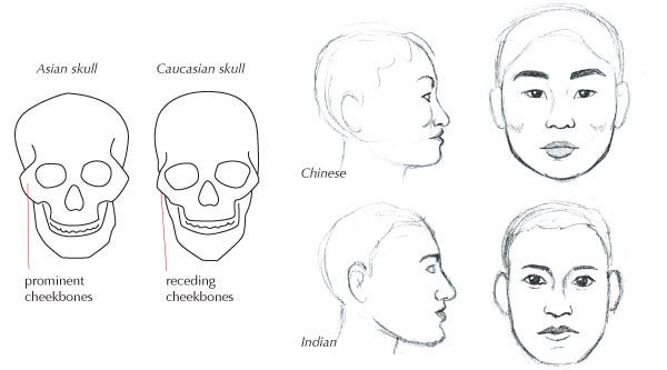 Human Anatomy Fundamentals: Advanced Facial Features | Envato Tuts+