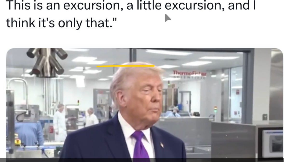 joycevance.substack.com