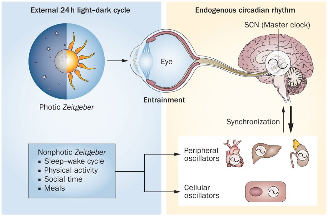How can you use light to set your sleep schedule? - Eight Sleep