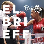 Brieffy