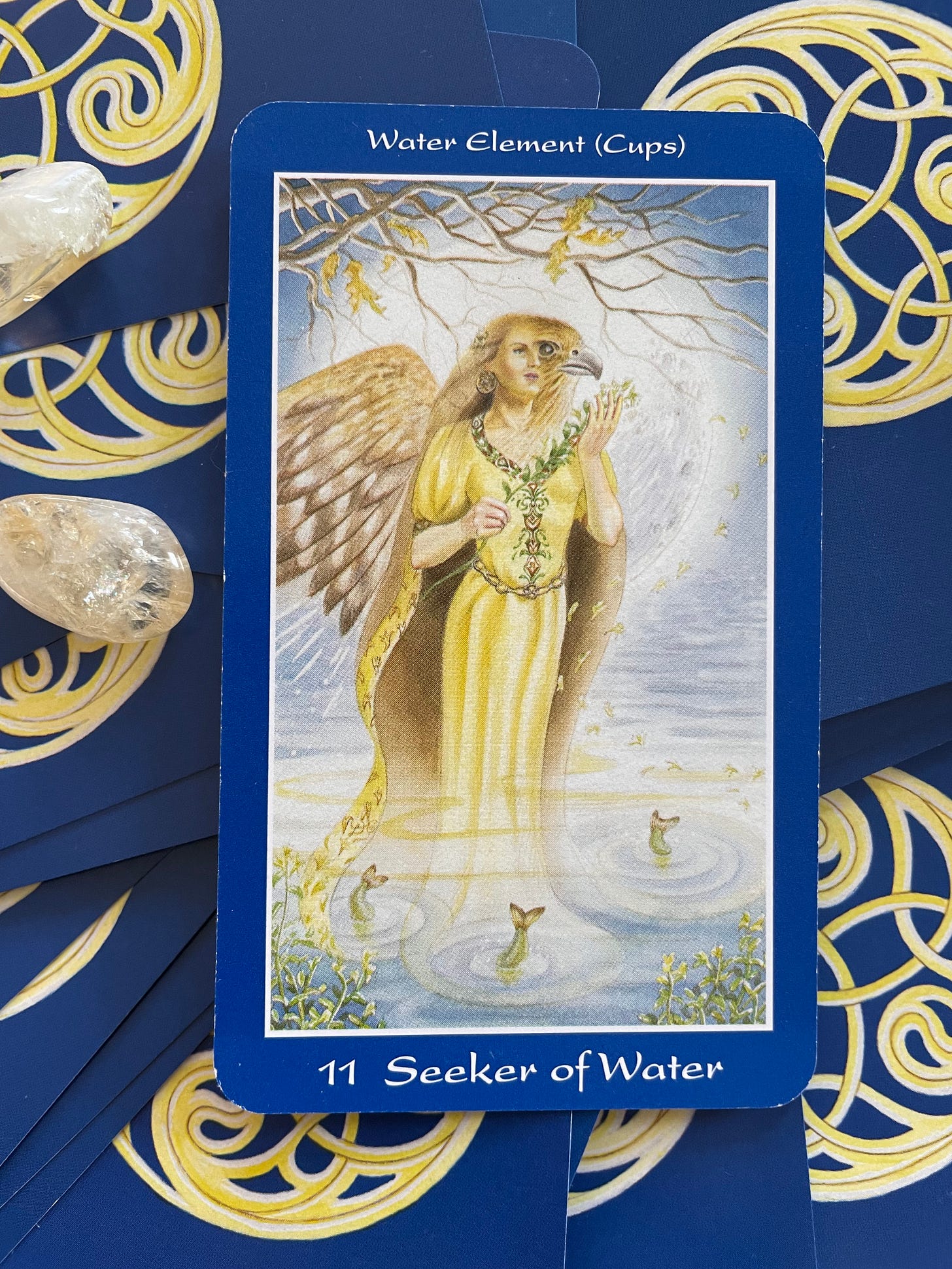 The 11 seeker of water card on top of a pile of facedown shapeshifter tarot cards and citrine. The woman is wearing a gold dress and is knee deep in a pond with three trout. She is shapeshifting into a bird of prey.