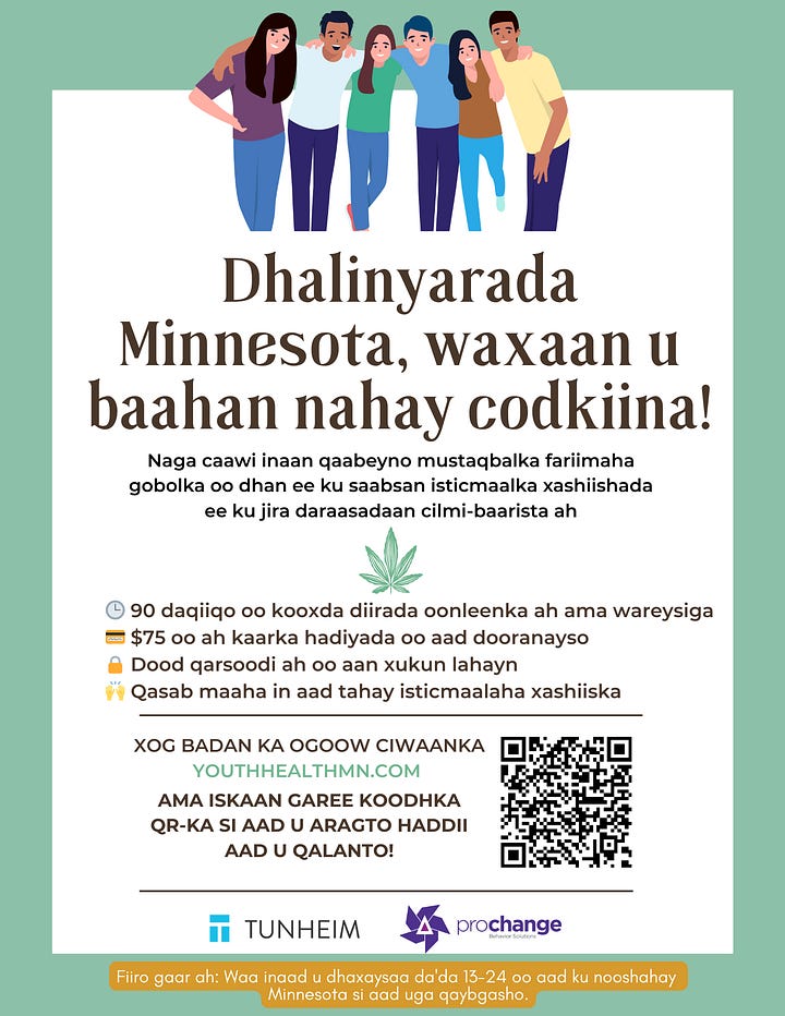Cannabis-use research study fliers for Minnesota youth in English, Spanish, Somali and Hmong