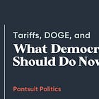 Tariffs, DOGE, and What Democrats Should Do Now